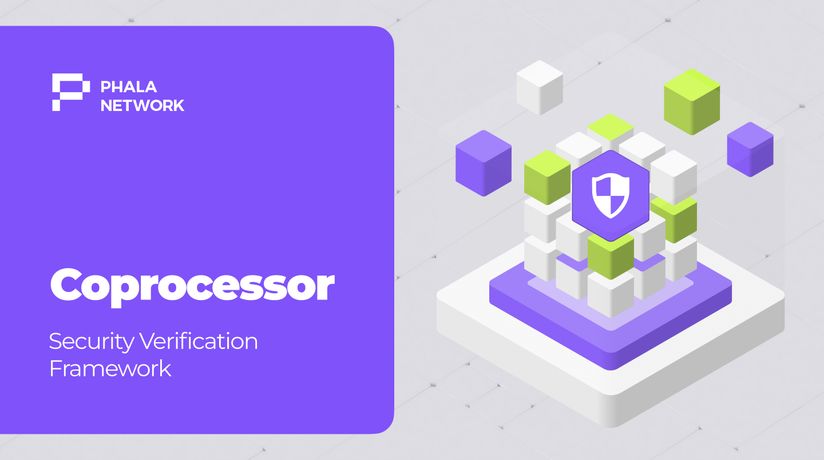 Coprocessor: Security Verification Framework